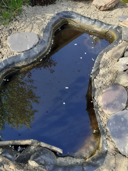 Pond in trouble