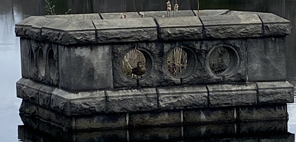 Come and tell me your dull and unexciting news 22: Calmly through the day