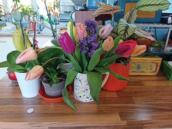 Come on in, chat thread