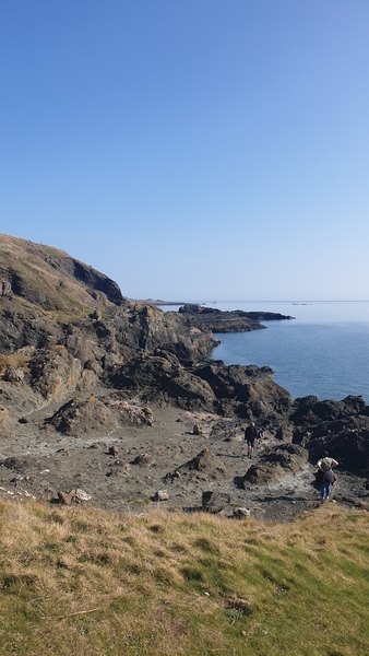 Nature Notes: the 2022 edition