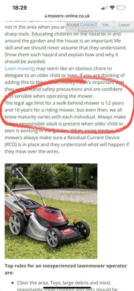 ...to pay an 11 year old to mow the lawn?