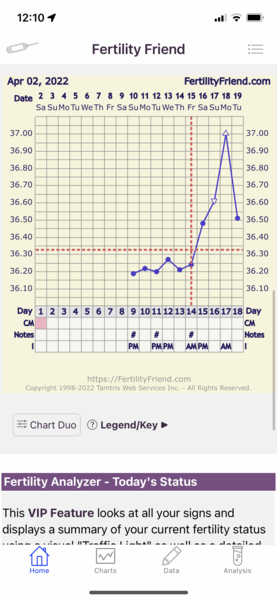 BBT charting - help!