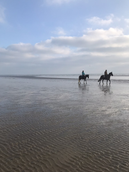 Do you have a favourite stretch of coastline in the UK ?