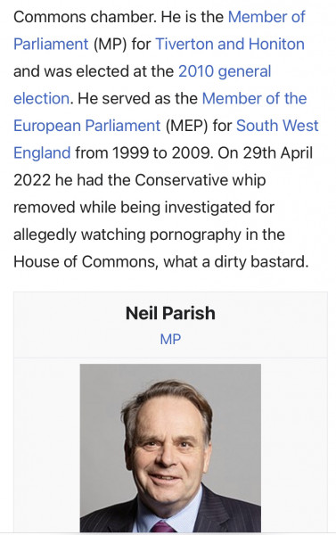 So who do we think the porn watching Tory was?