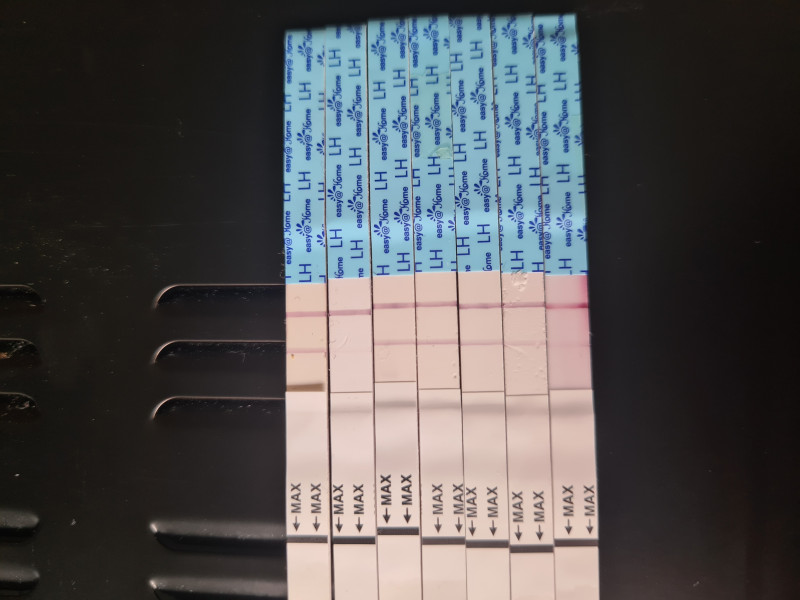 Preparing to TTC in 2022