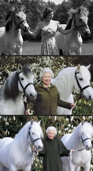 Royal Style: tiaras diamonds and bling, peplums and ruching not our thing