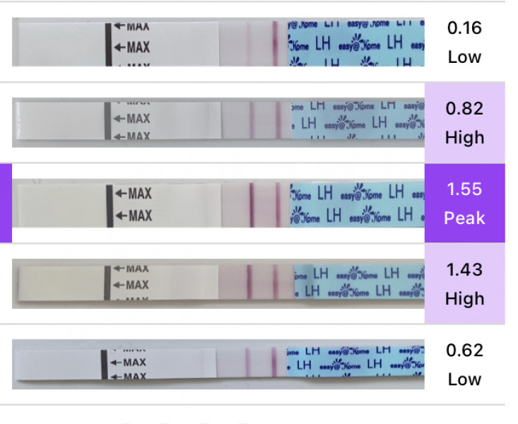 Is this positive? (Ovulation)