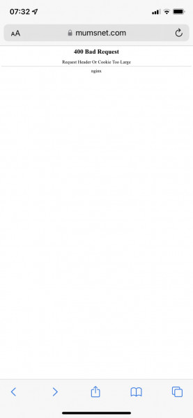 Safari error message