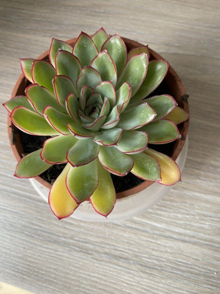 Random questions from a beginner