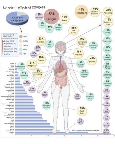 For those that are NOT vaxxed - would you get vaxxed only for travel? 