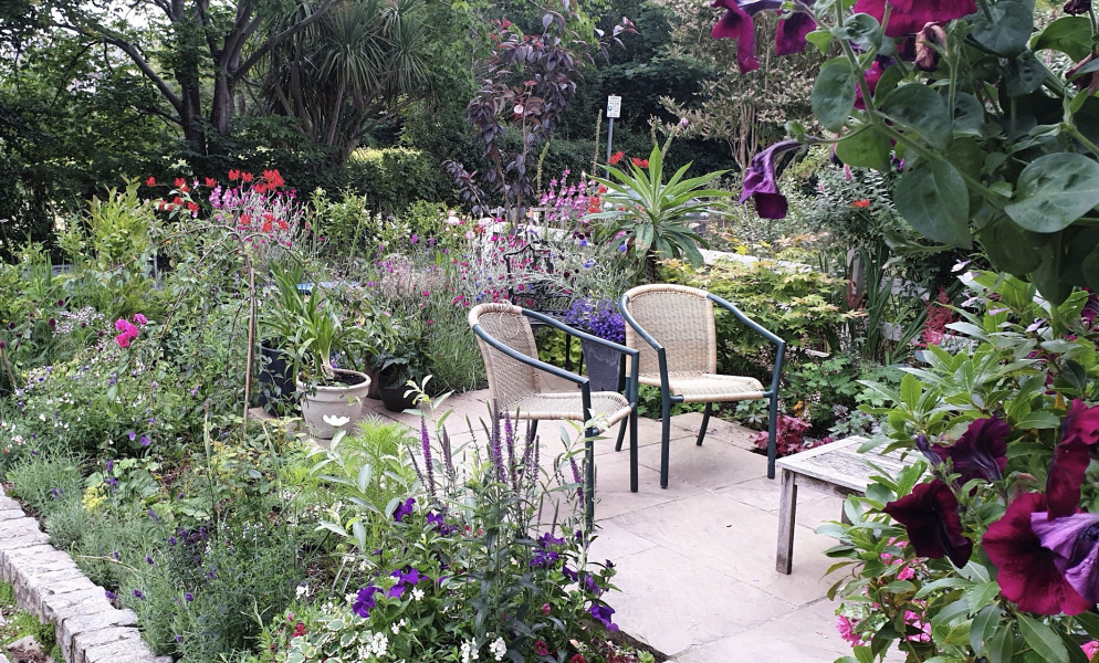 We own our front gardens let’s use them!