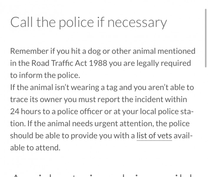 Would I BU to report this accident to RSPCA or police, or should I just leave it? 