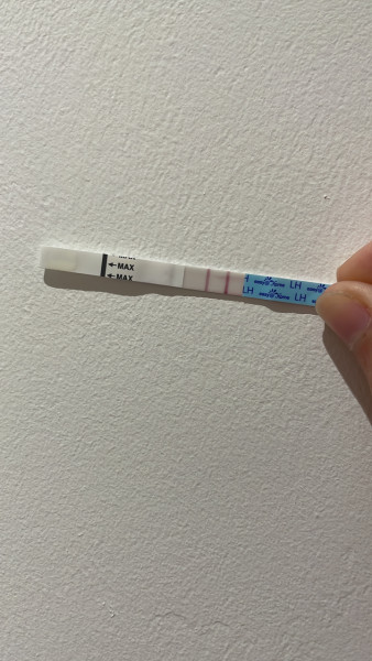 Help me please/keep me sane/reassurance