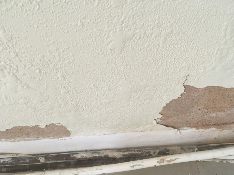 PigletJohn are you there?! Damp? on internal wall of bungalow