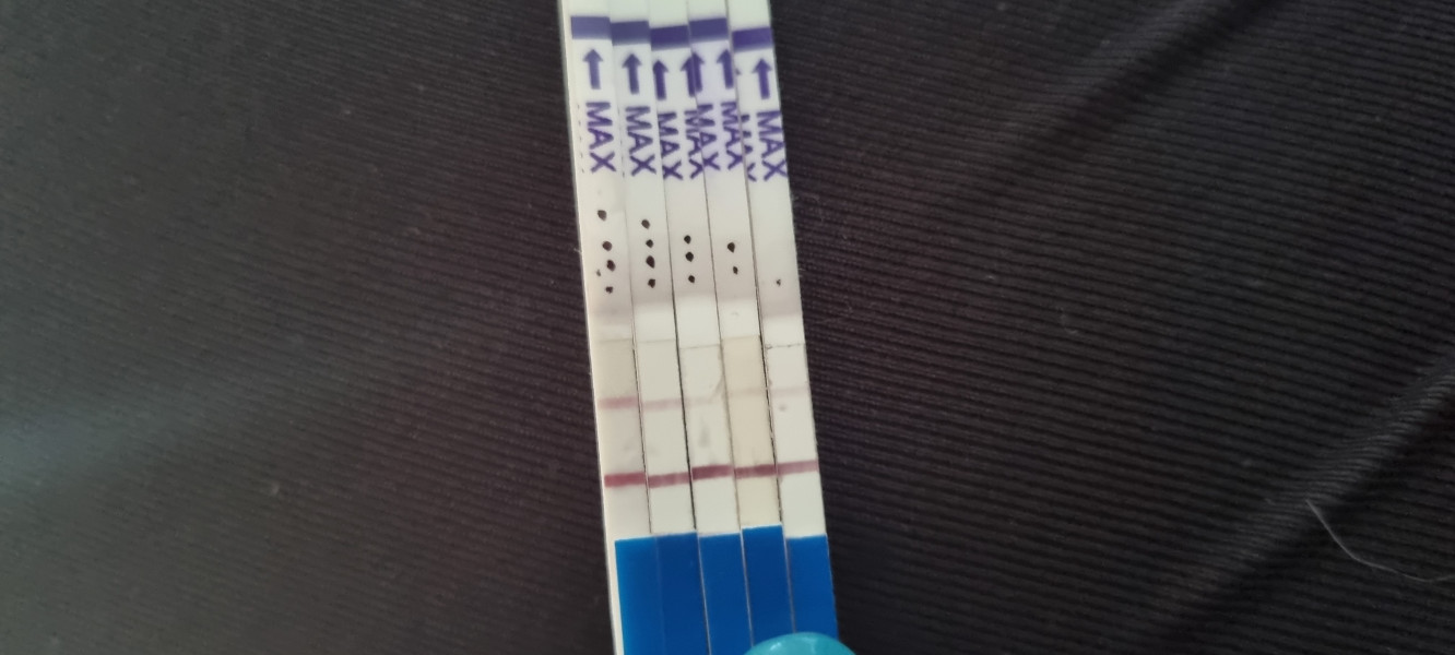 Pregnant after ectopic