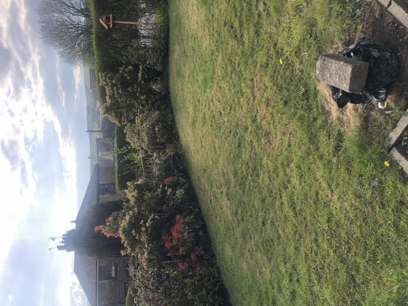This is my new front garden 