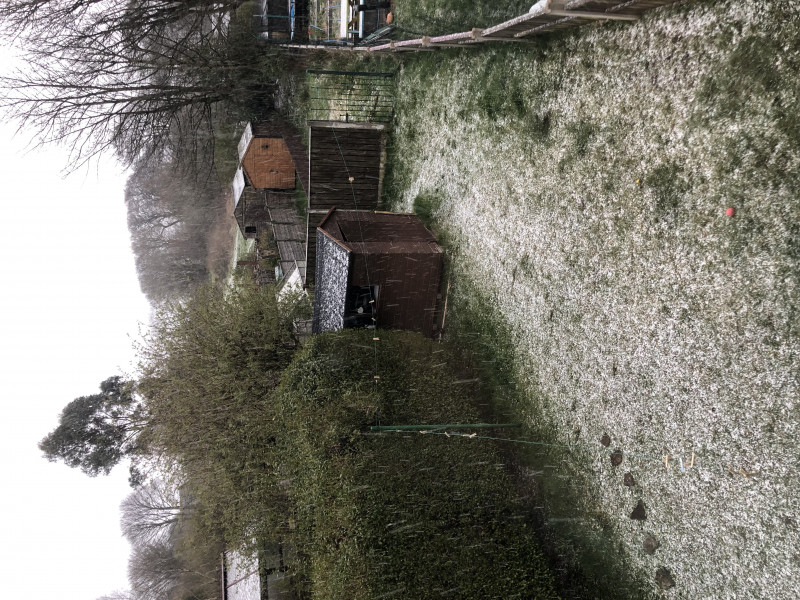 This is my new front garden 