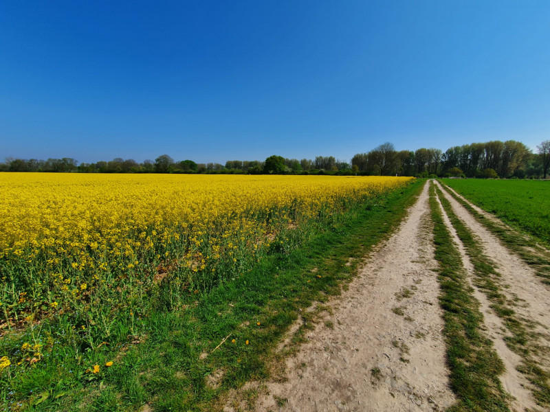 Come and tell me your dull and unexciting news 22: Calmly through the day