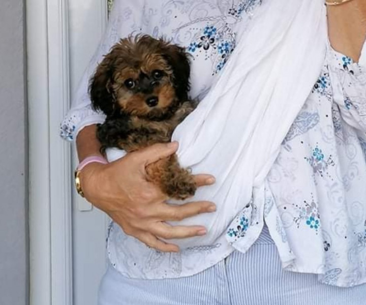 Old lady names for my puppy