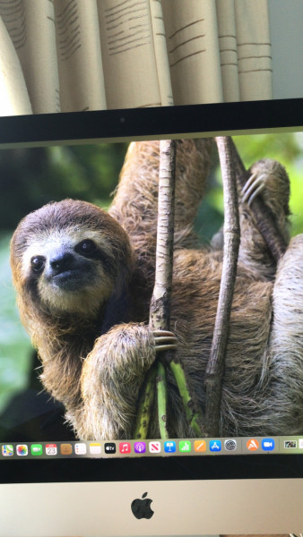 Come and tell me your dull and unexciting news 22: Calmly through the day