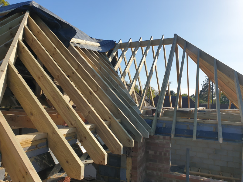 Extension Thread 2022....plaster, panic and pics