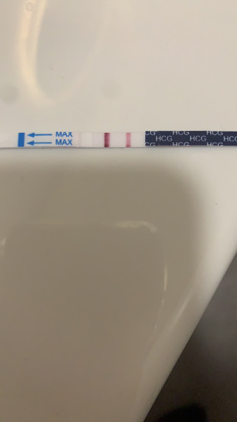 Due December (thread 2) 👯