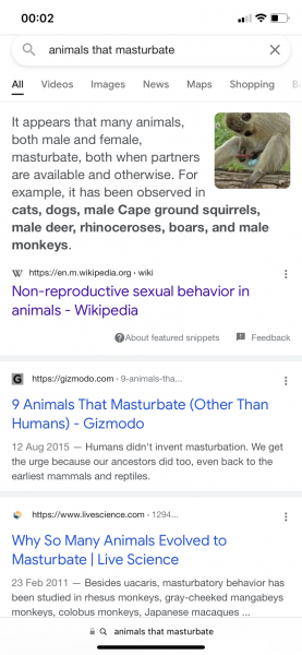To update about The Family Sex Show