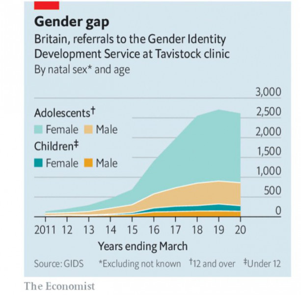 Help with talking to a 12 yr old about trans issues 