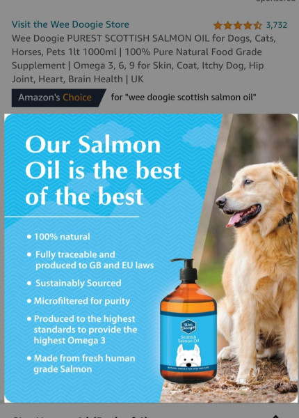 Dandruff in Labrador 