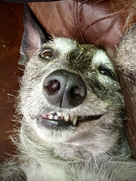 Does parking on a closed road count as a live parking thread? 😁