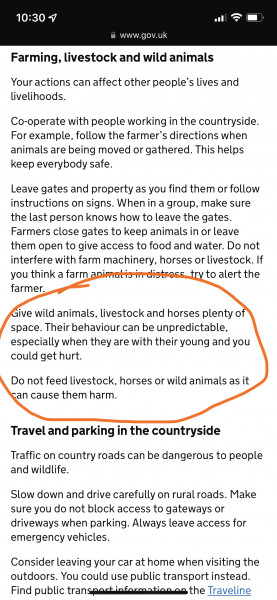STOP FEEDING HORSES THAT ARE NOT YOURS