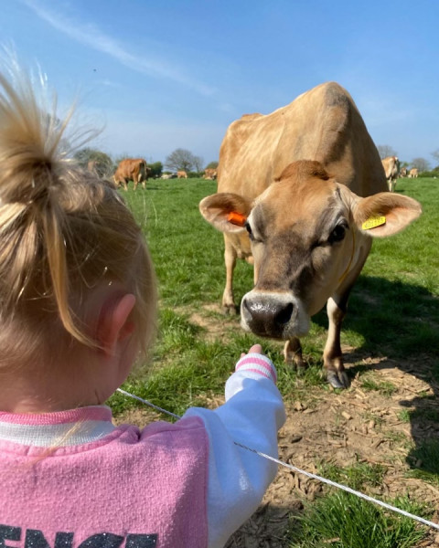 Amble into April Frugaleering