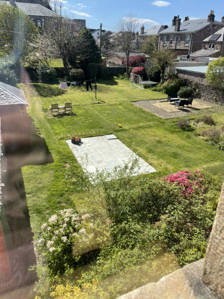 My new garden within a garden