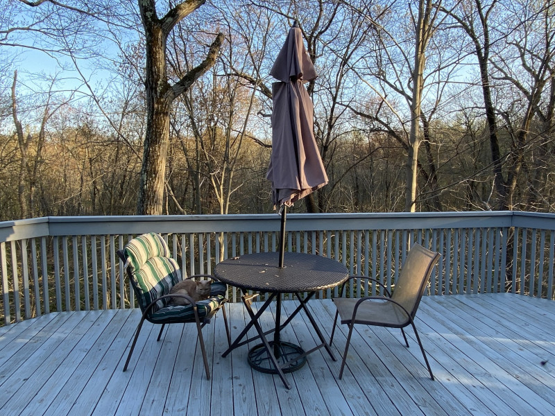 Come and tell me your dull and unexciting news 22: Calmly through the day