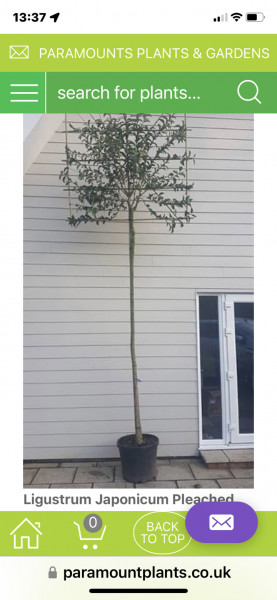 AIBU to ask again for neighbours to move their trampoline 