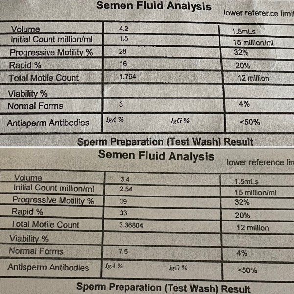 Sperm analysis - retest results