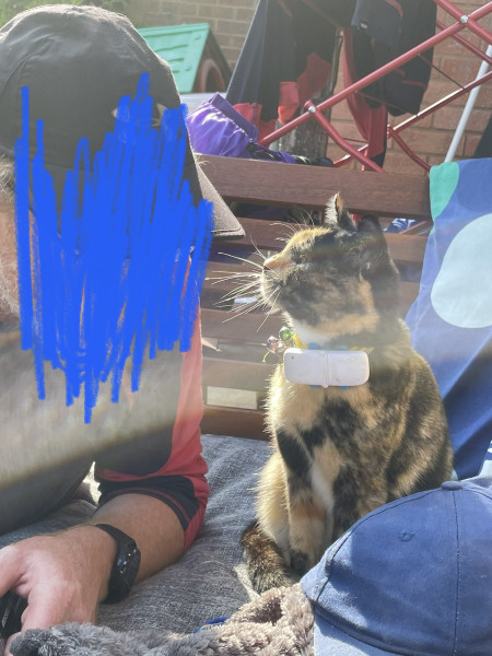 Can anyone recommend a good cat tracker?