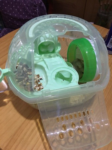 Feeling lost - teenage daughter behaviour