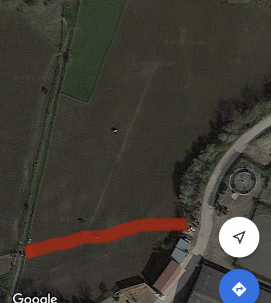 Horse and dog incident this morning