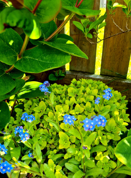 Pictures to cheer people up 😃