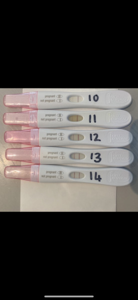 OVUSENSE (ovucore)