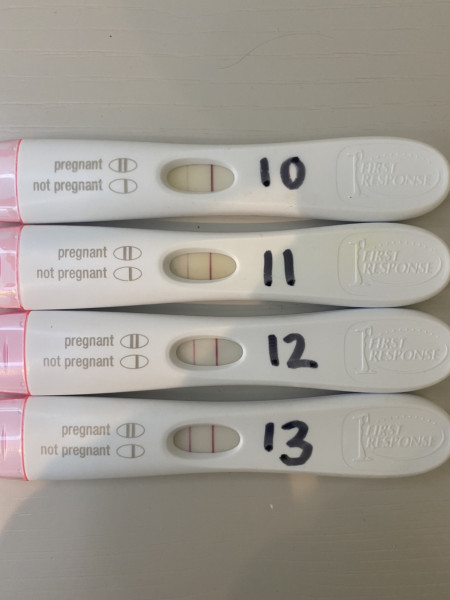 FRER, Clearblue, Cheapies