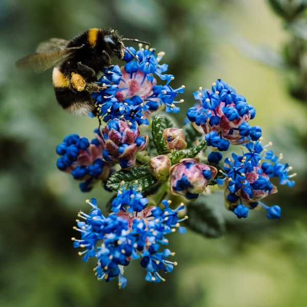 Any Witches Here? Part 16