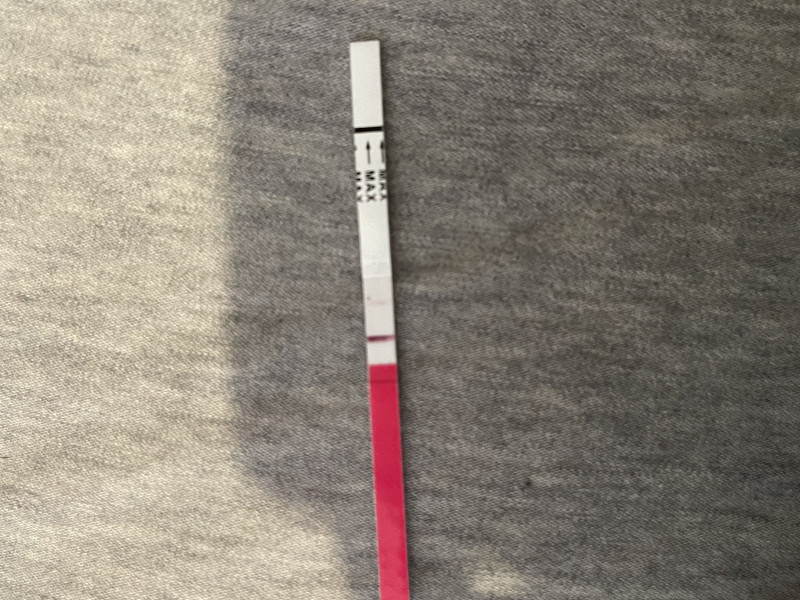 Pregancy tests?