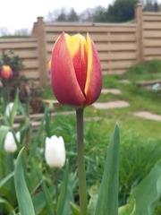 Show Us Your Pictures 6