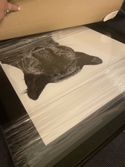 Decluttering Club thread 2 2022 - trying to reduce stuff a little at a time.