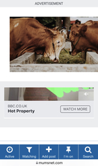 Huge ads not scrolling