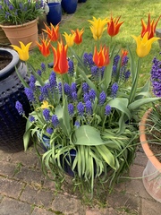 Show Us Your Pictures 6