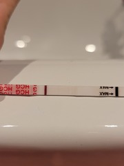 8dpo Why Oh Why Do I Test?
