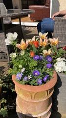 Show Us Your Pictures 6
